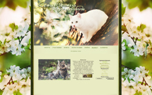 Скриншот сайта Коты-воители. Дух cвободы