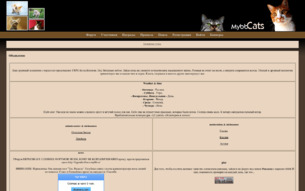 Скриншот сайта Коты-воители. Под звёздным небом
