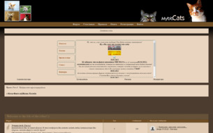 Скриншот сайта Коты-воители. Жизнь племён