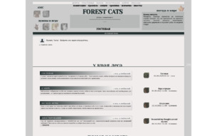 Скриншот сайта Forest cats
